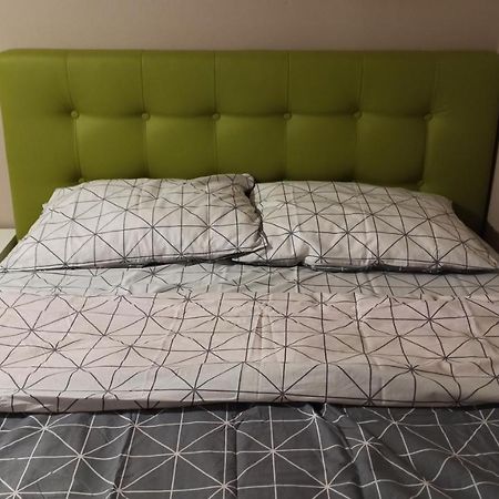 Cozy Home Bujorilor Тимишоара Экстерьер фото