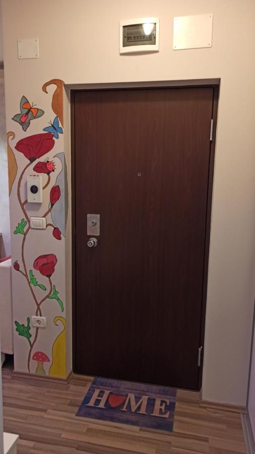 Cozy Home Bujorilor Тимишоара Экстерьер фото