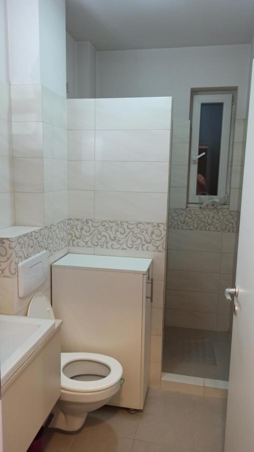 Cozy Home Bujorilor Тимишоара Экстерьер фото